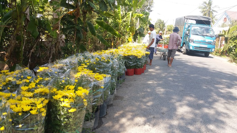 nguoi trong hoa tet tien giang trung mua, trung gia  hinh 1