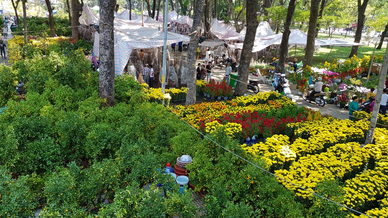 tphcm: hoa tet khong "sot" gia, nhung suc mua van cham hinh 2