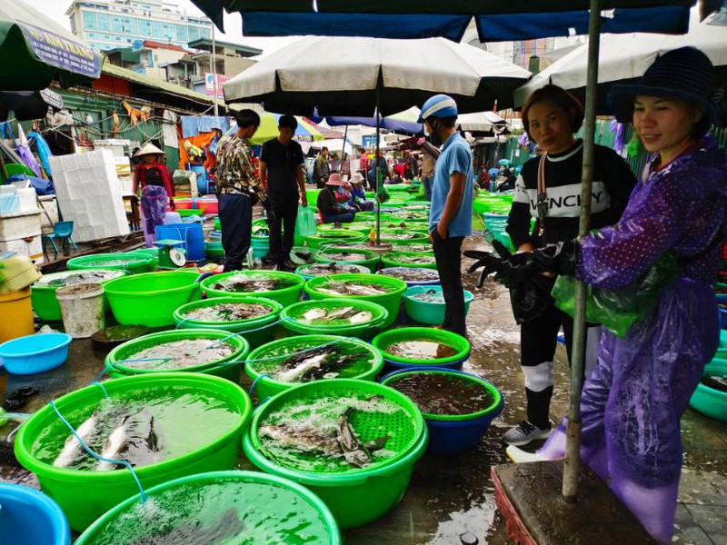  suc mua hai san nhung ngay cuoi nam khong tang hinh 1