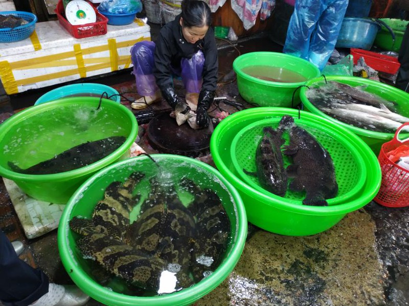  suc mua hai san nhung ngay cuoi nam khong tang hinh 2