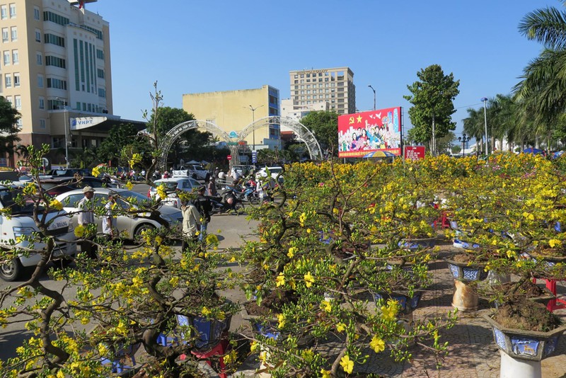 da nang: cho hoa tet cho den dem 30? hinh 1