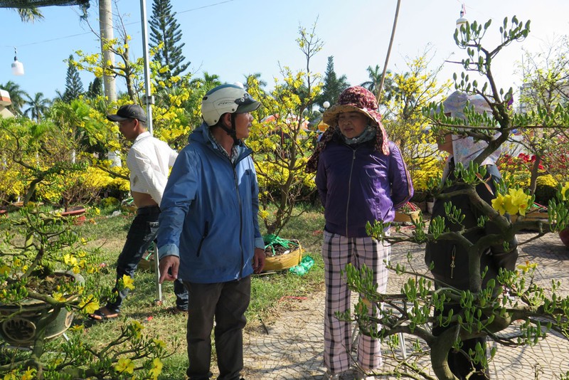 da nang: cho hoa tet cho den dem 30? hinh 2