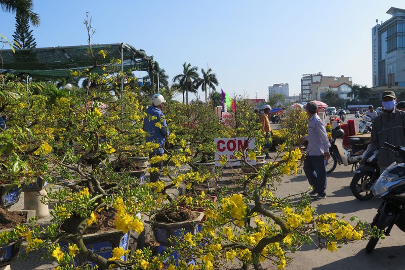 da nang: cho hoa tet cho den dem 30? hinh 3