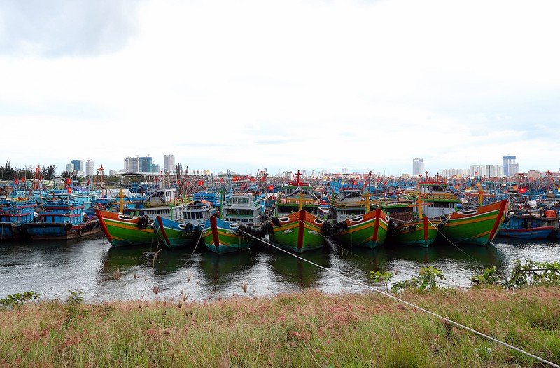 au thuyen tho quang ken day tau thuyen neo ben an tet hinh 13