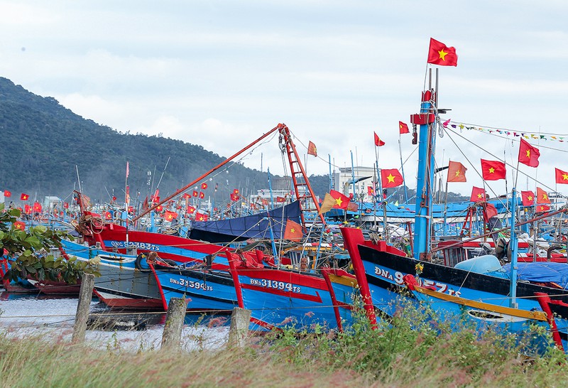 au thuyen tho quang ken day tau thuyen neo ben an tet hinh 14