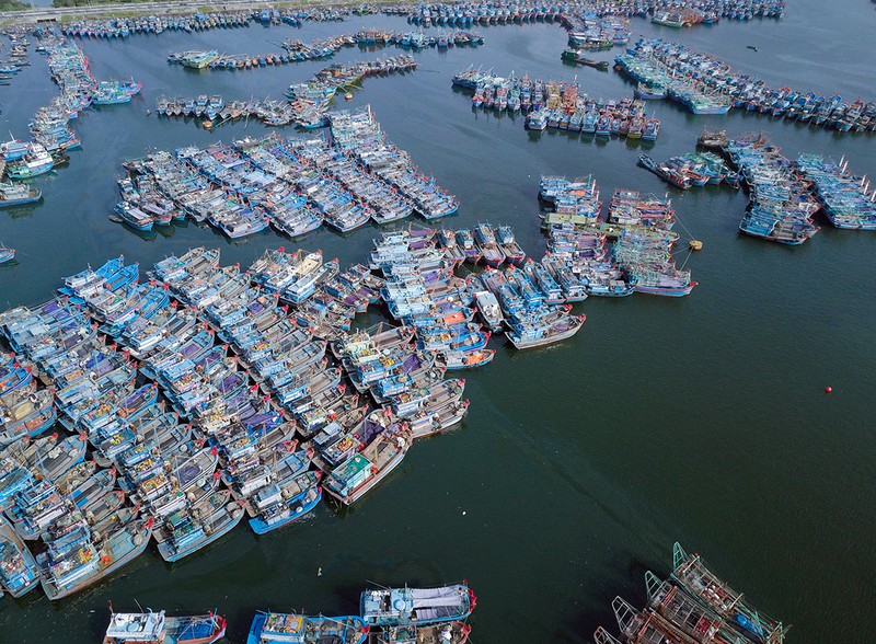 au thuyen tho quang ken day tau thuyen neo ben an tet hinh 20