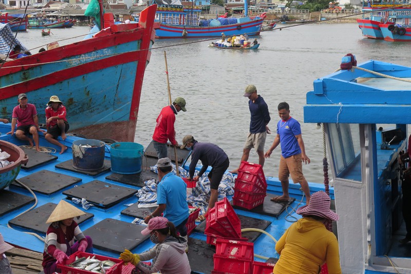 ngu dan mien trung ron rang mo bien dau nam hinh 2