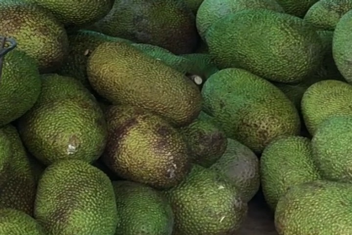  gia thu mua mit thai giam chi con 5.000 - 7.000 dong/kg hinh 1