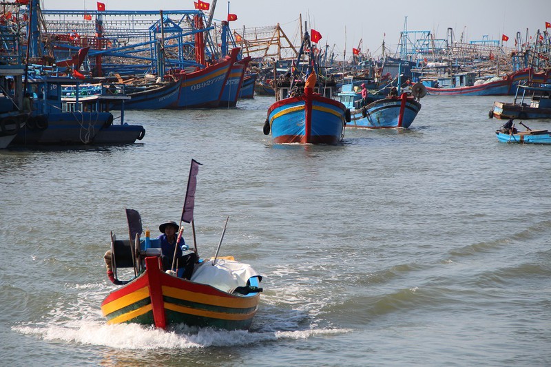 ngu dan ba ria - vung tau ra khoi mong nam moi boi thu hinh 2