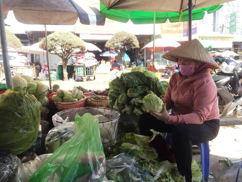 rau tang gia, nha vuon lam dong phan khoi hinh 2