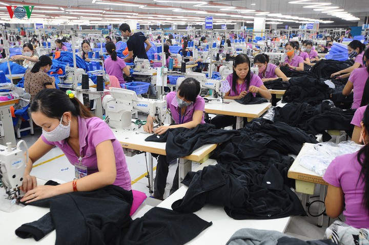 det may viet nam co the thiet hai hang nghin ty dong vi dai dich covid-19 hinh 1