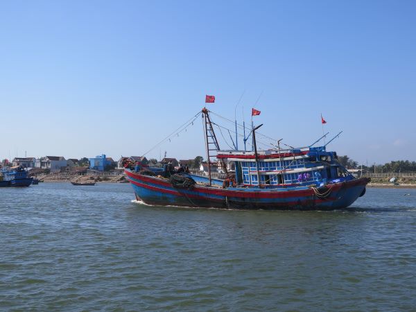 ngu dan quyet tam vuon khoi, bat chap lenh cam phi ly cua trung quoc hinh 1