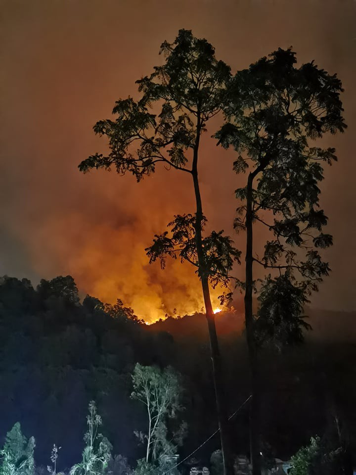 da nang huy dong 200 nguoi chua chay rung hinh 1