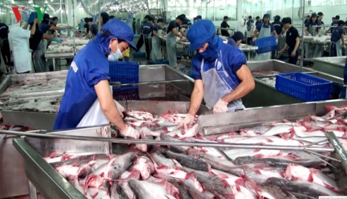 nganh thuy san san sang don co hoi xuat khau tu evfta hinh 1