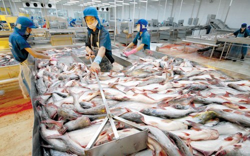 xuat khau ca tra sang eu tiep tuc giam manh do anh huong cua dai dich hinh 1