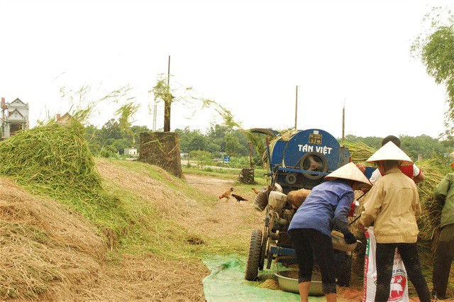 rom kho, vo trau co gia bat ngo tren san thuong mai dien tu hinh 3