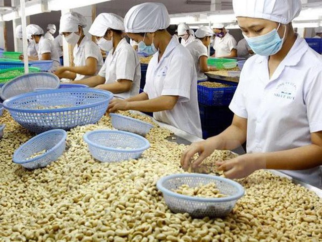 hiep dinh evfta se tao cu hich cho xuat khau hat dieu viet nam hinh 1