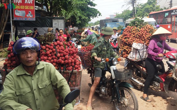 qua trinh dua vai thieu viet nam vao thi truong nhat ban hinh 2