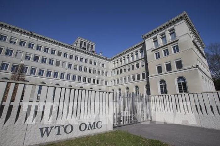 cuoc dua vi tri tong giam doc wto chinh thuc bat dau hinh 1