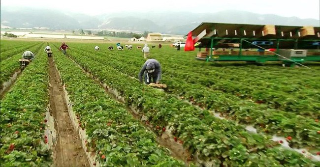 trung quoc dung cong nghe ai giam thiet hai trong san xuat nong nghiep hinh 1