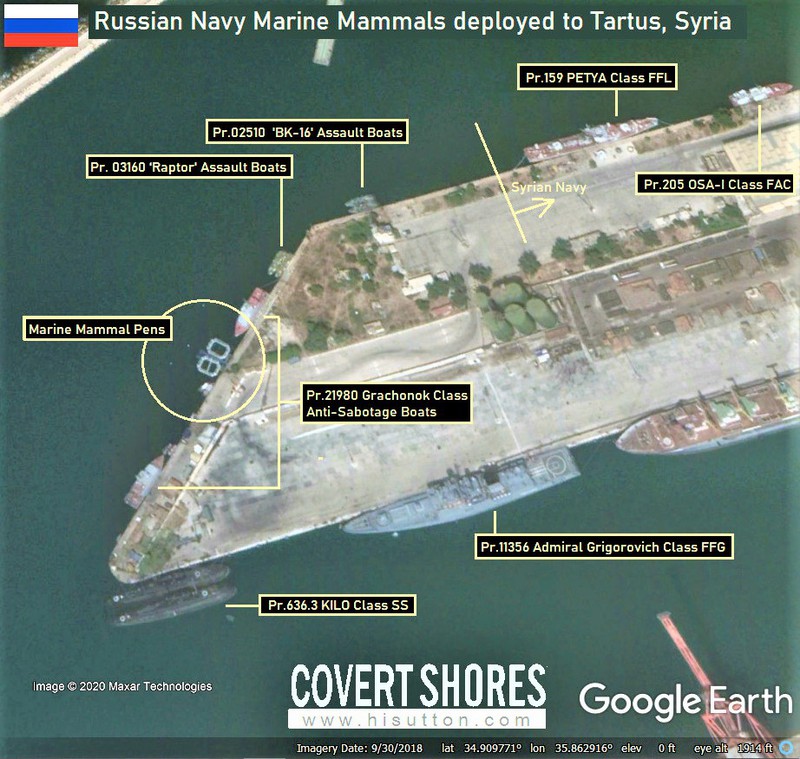 nga dieu cac chien binh dong vat toi bao ve quan cang tartus o syria hinh 2