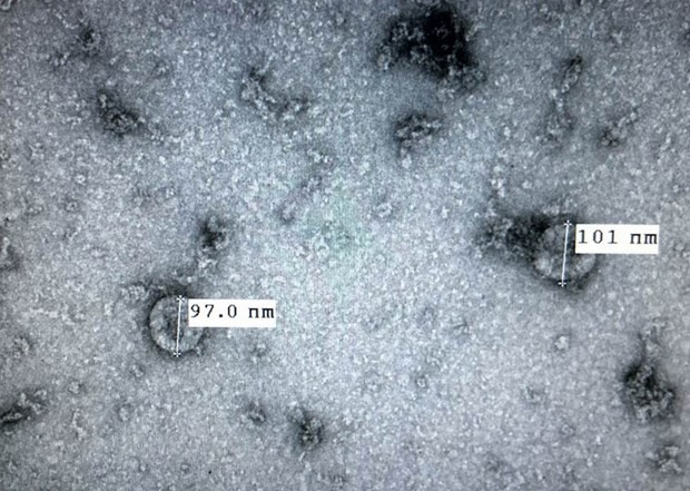 who danh gia cao nang luc cua viet nam trong phan lap ncov hinh 2