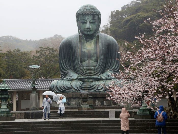 mua hoa anh dao buon tren khap the gioi vi dai dich covid-19 hinh 9