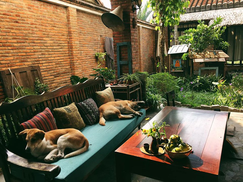 can nha "chap va" xinh xan o hoi an hinh 13