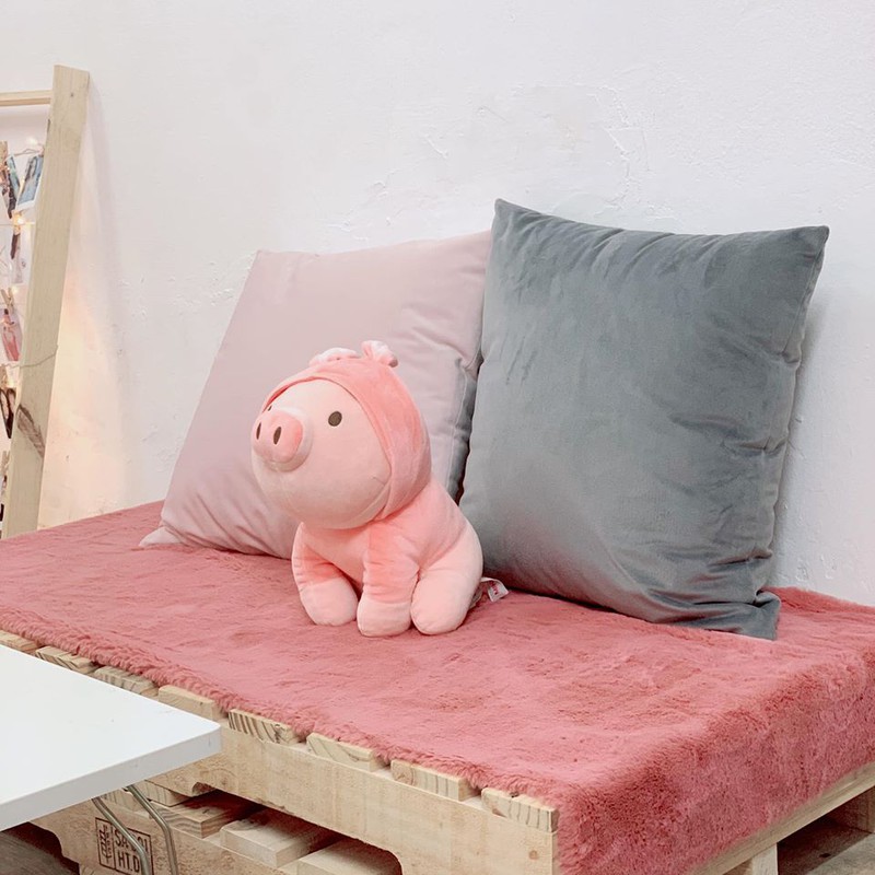 bien phong tro 14m2 thanh phong cong chua voi chi phi 6 trieu hinh 6