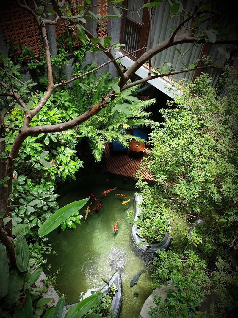 ngam cong trinh xanh sat bien my khe - da nang hinh 4