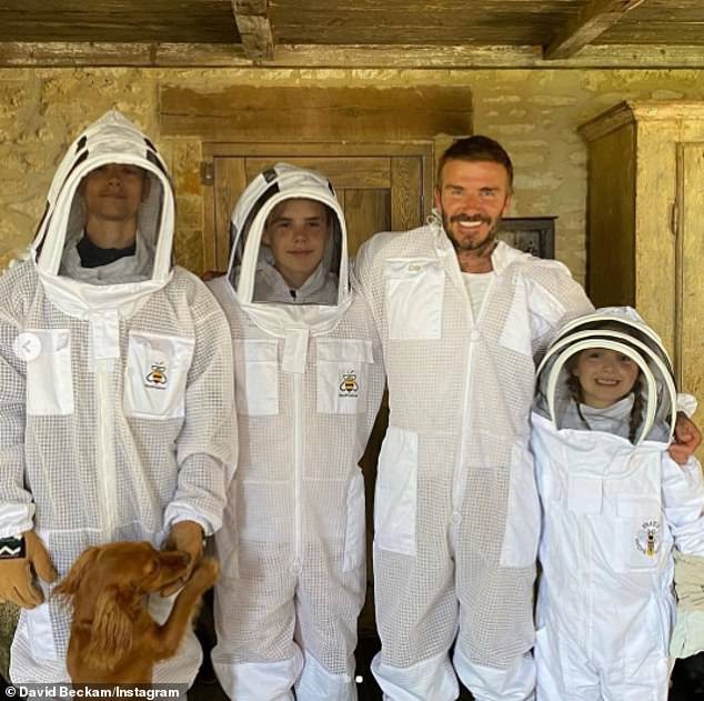 david beckham va cac con mac do bao ho tiep can ong ngay trong san nha hinh 1