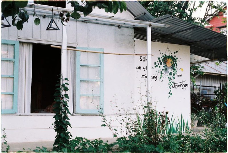ngoi nha go nap sau nhung tan cay xanh mat o da lat hinh 2