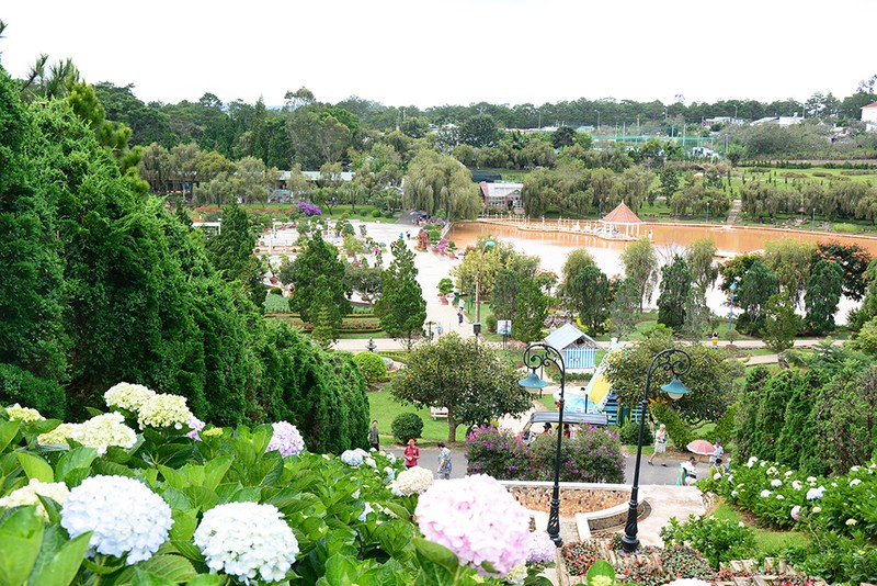 kinh nghiem du lich da lat - xu so ngan hoa lang man hinh 2