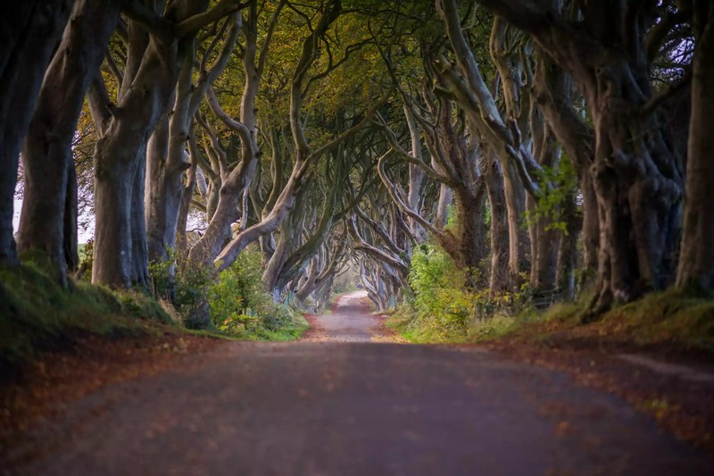 10 dieu nhat dinh phai kham pha o hat antrim, bac ireland hinh 10