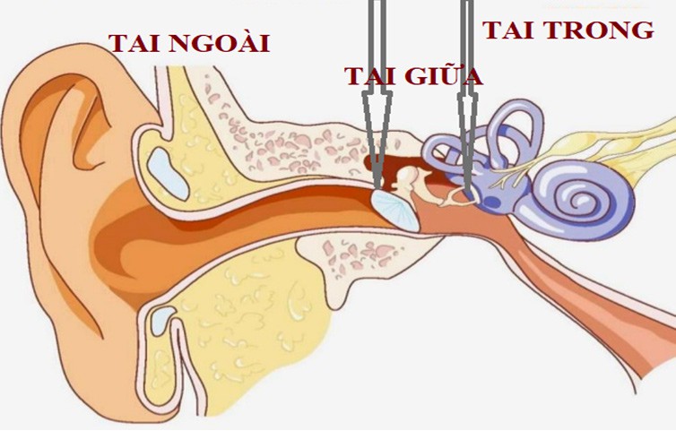 suy giam chuc nang nghe, nghe kem co dang lo ngai hinh 1