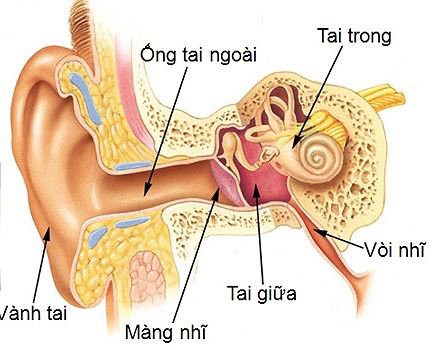 dieu tri viem tai giua tai dien o tre hinh 1