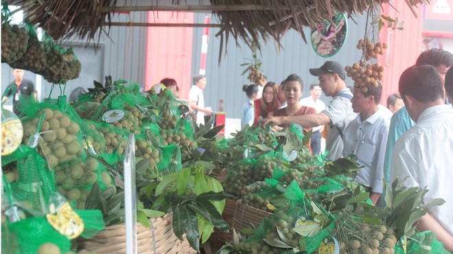 vi sao trung quoc dung mua long nhan cua 3 doanh nghiep hung yen? hinh 1