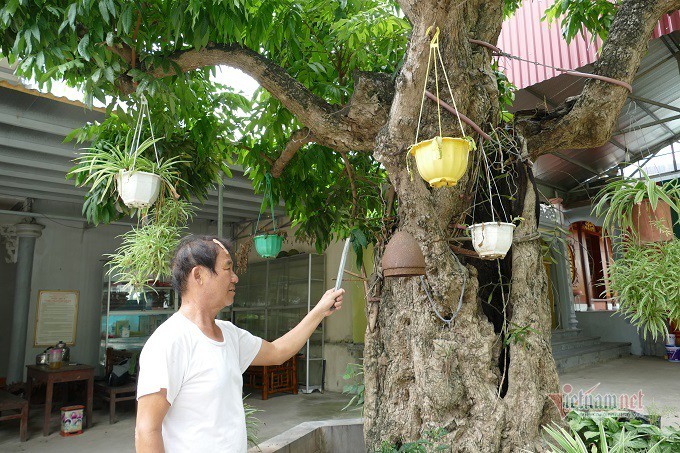 Ni sư giả điên, tìm cách đưa trẻ bụi đời về chùa cưu mang