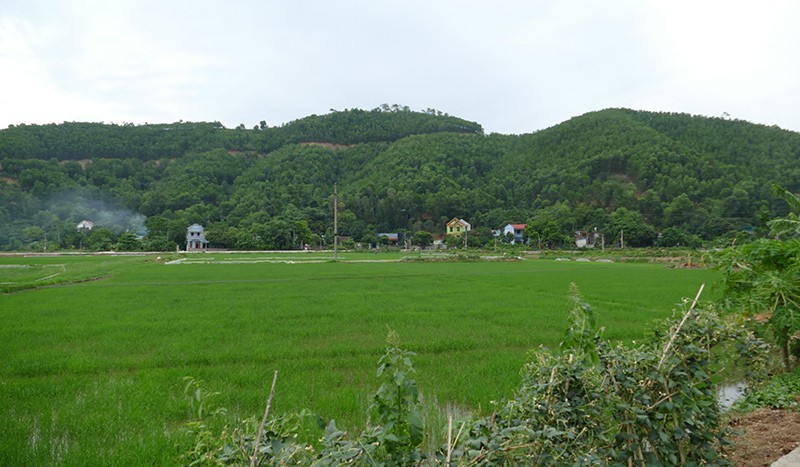 chuyen ly ky ve 'ham chua vang' va noi kho cua nguoi dan ong o ha nam hinh 1