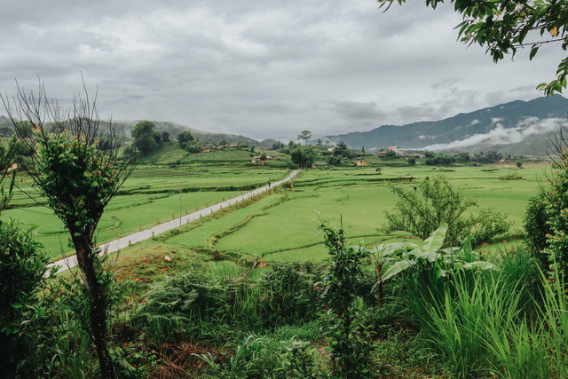 rong ruoi mu cang chai trong nhung ngay "tron dich" hinh 13