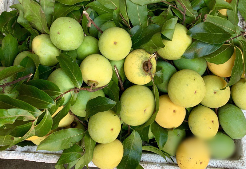 san lung thi thom, nguoi buon lai tien trieu moi ngay hinh 2