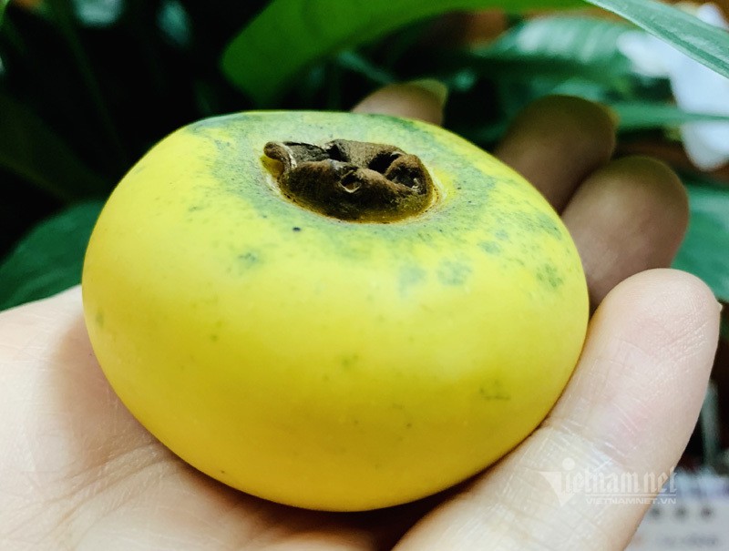 san lung thi thom, nguoi buon lai tien trieu moi ngay hinh 1