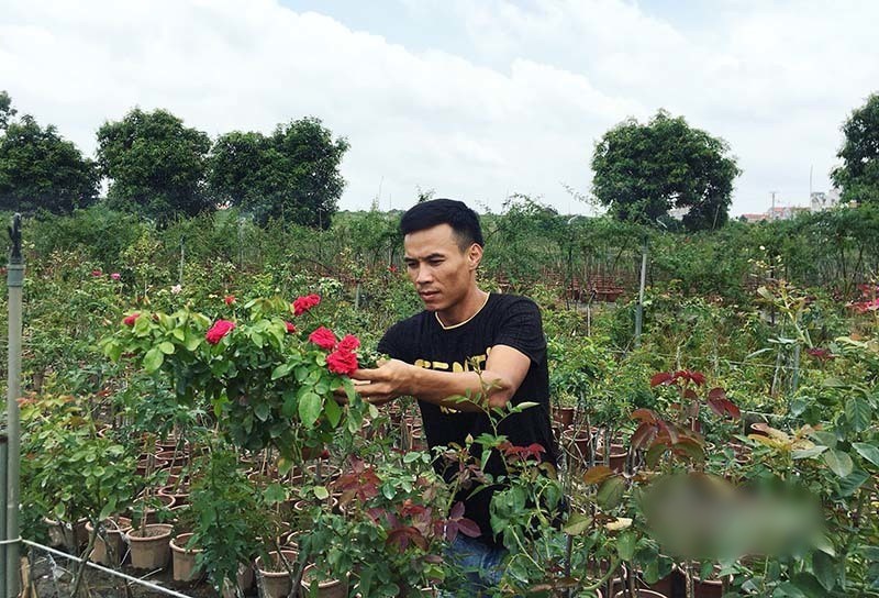 10 nam bon ba van tay trang, ve que vui voi vuon hong 'no' 4 ty/nam hinh 1