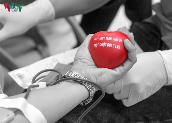 anh huong cua ncov, lo thieu mau truoc le hoi xuan hong hinh 1