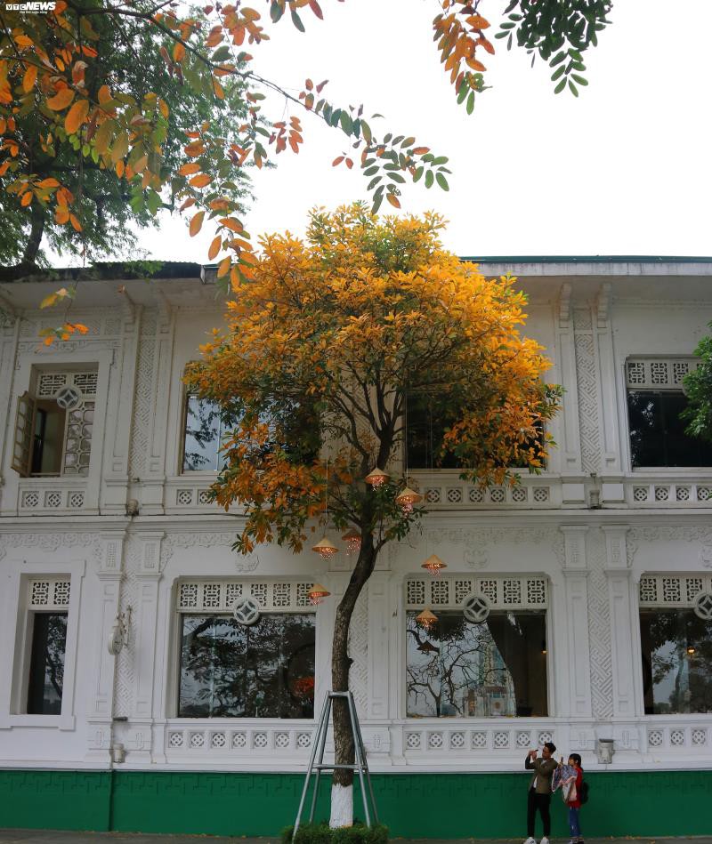 ha noi do ruc, vang lang, dep la ky nhu giua mua thu au chau hinh 13