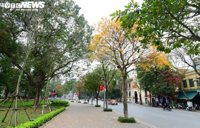 ha noi do ruc, vang lang, dep la ky nhu giua mua thu au chau hinh 2
