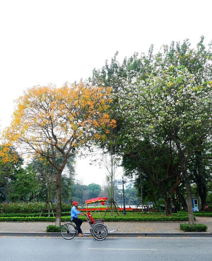 ha noi do ruc, vang lang, dep la ky nhu giua mua thu au chau hinh 3