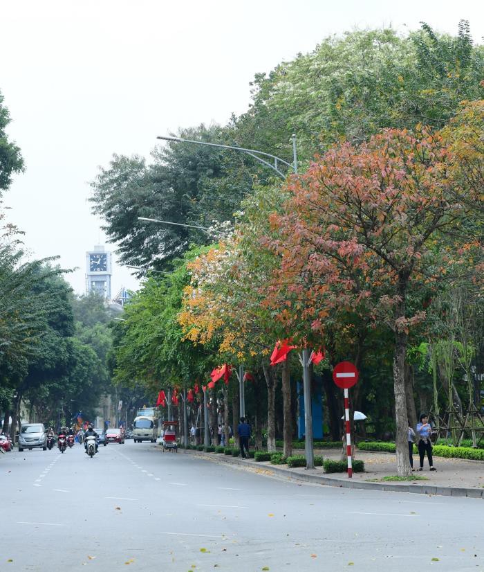 ha noi do ruc, vang lang, dep la ky nhu giua mua thu au chau hinh 4