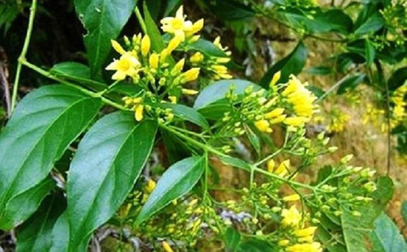 bi ngan cam chuyen yeu duong, doi nam nu cung an la ngon tu van hinh 1