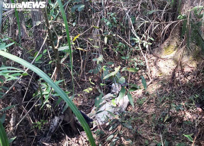 phat hien bo xuong nguoi tren nui o da nang hinh 1